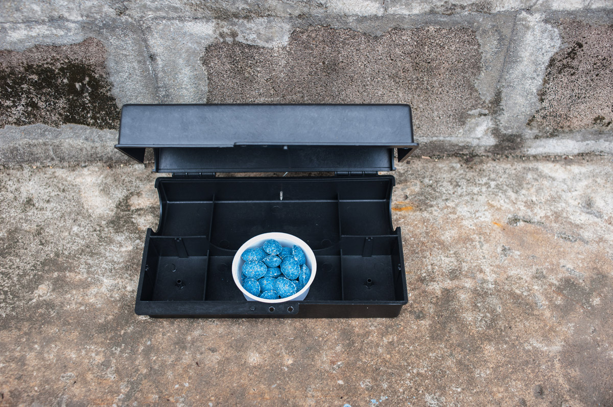 A Closer Look at Rat Control Challenges in Urban Environments