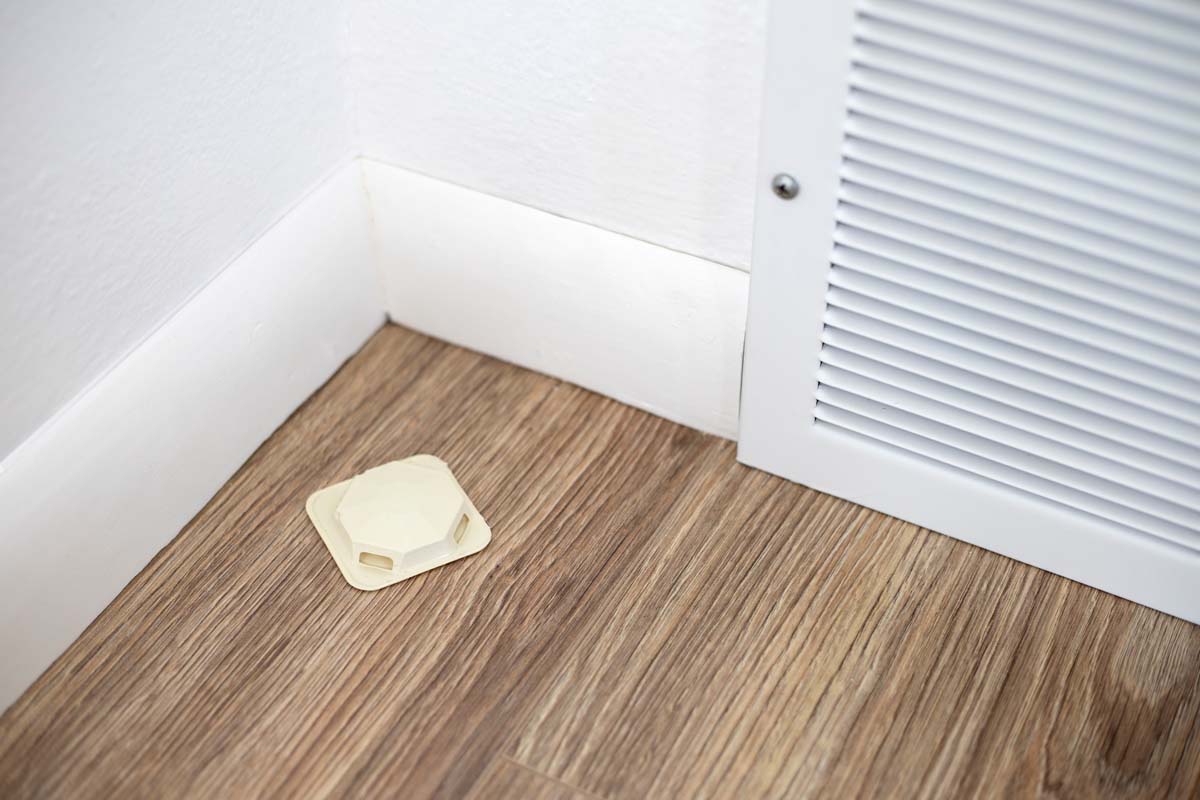 How to safely remove vermin and protect your home