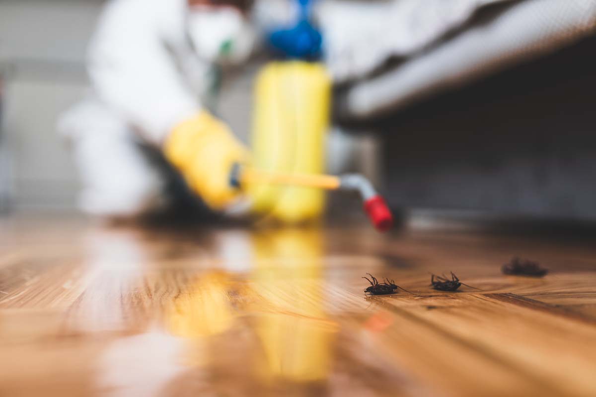 The Role of Exterminator Services in Enhancing Public Health